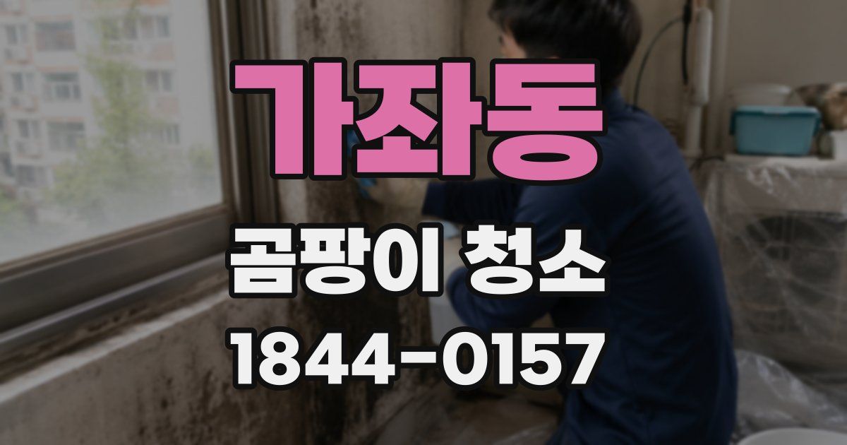 가좌동 곰팡이 청소