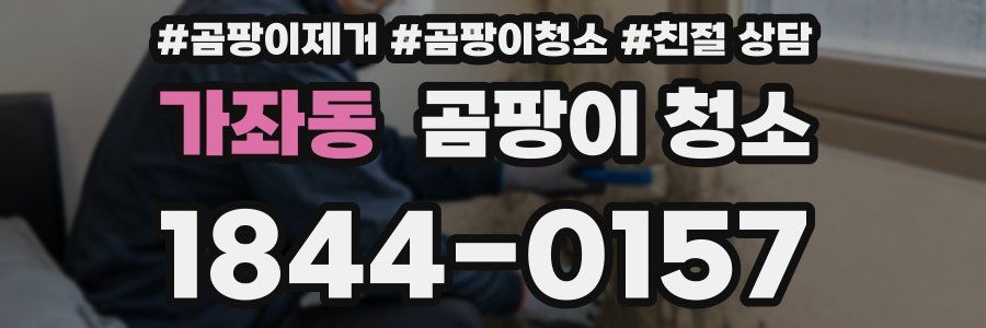 가좌동 곰팡이 청소