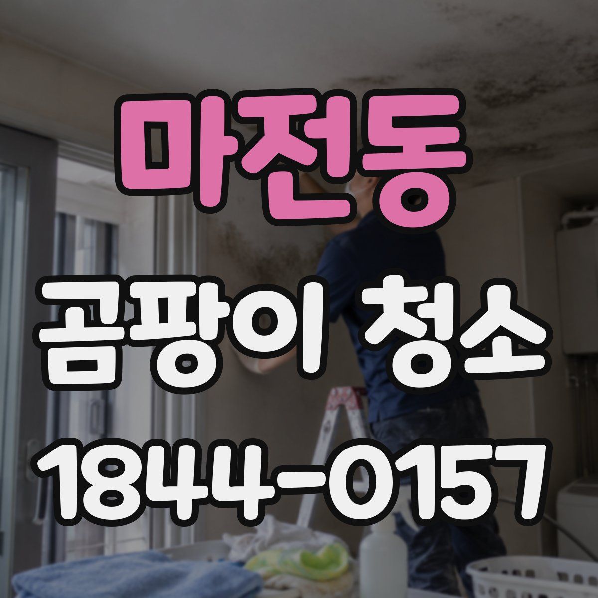 마전동 곰팡이 청소