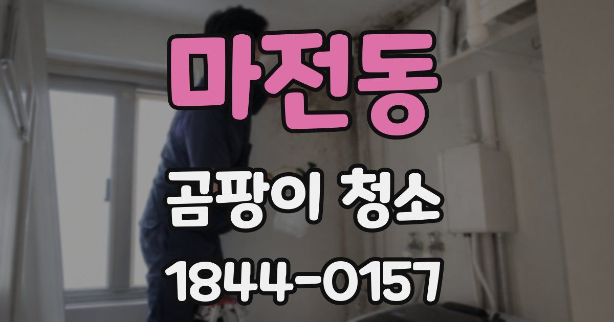 마전동 곰팡이 청소