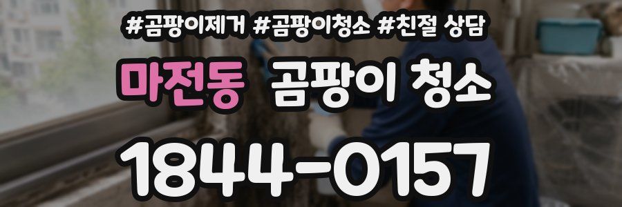 마전동 곰팡이 청소