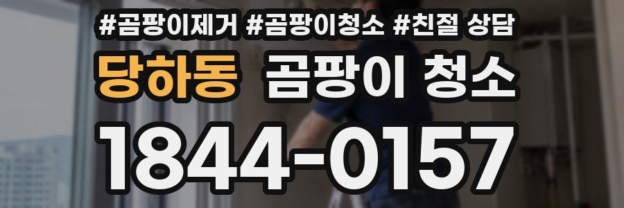 당하동 곰팡이 청소