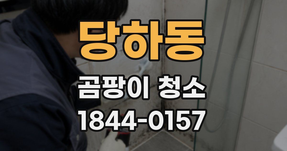 당하동 곰팡이 청소
