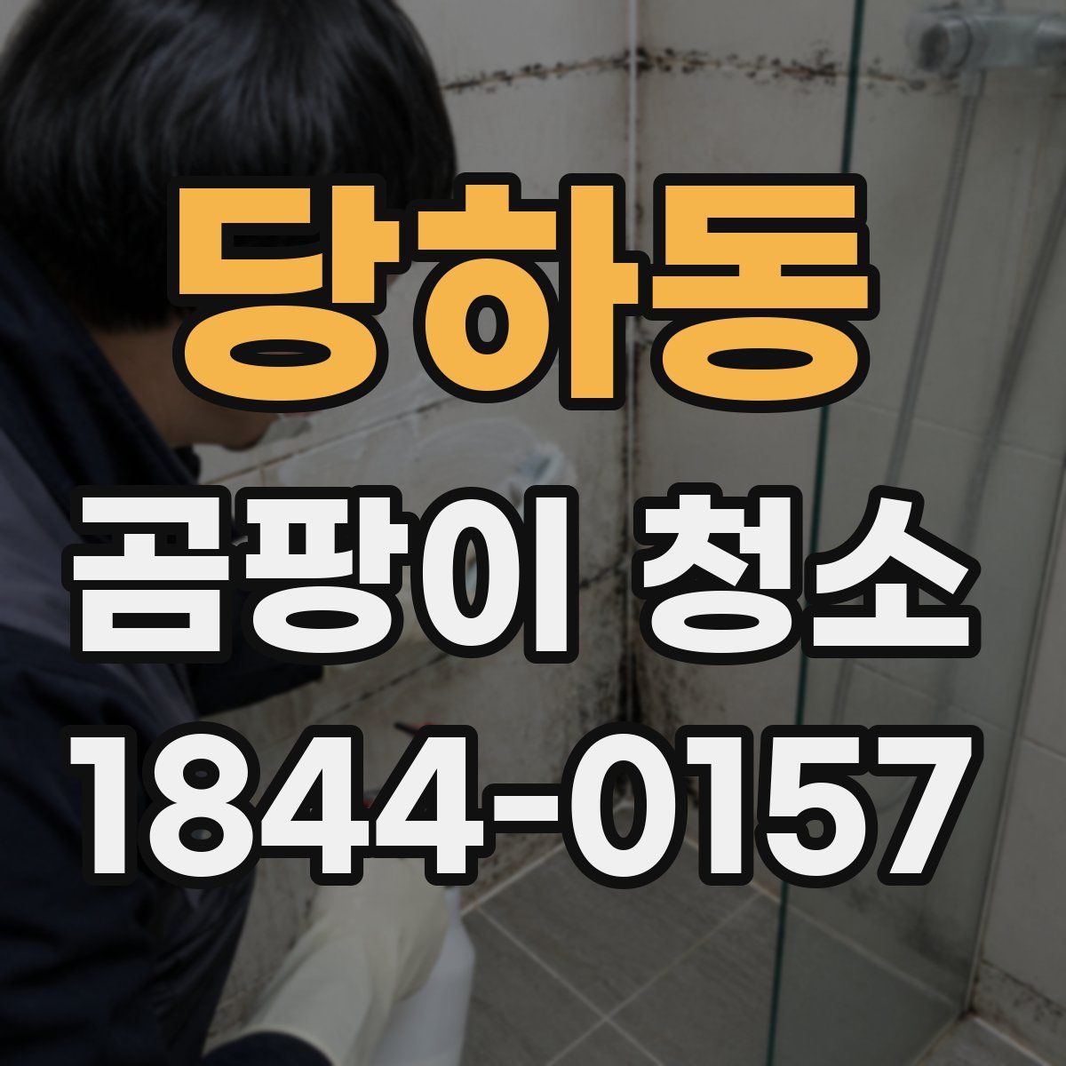 당하동 곰팡이 청소