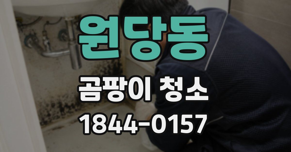 원당동 곰팡이 청소