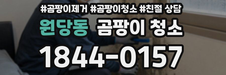 원당동 곰팡이 청소