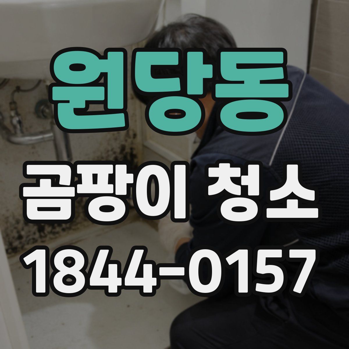 원당동 곰팡이 청소