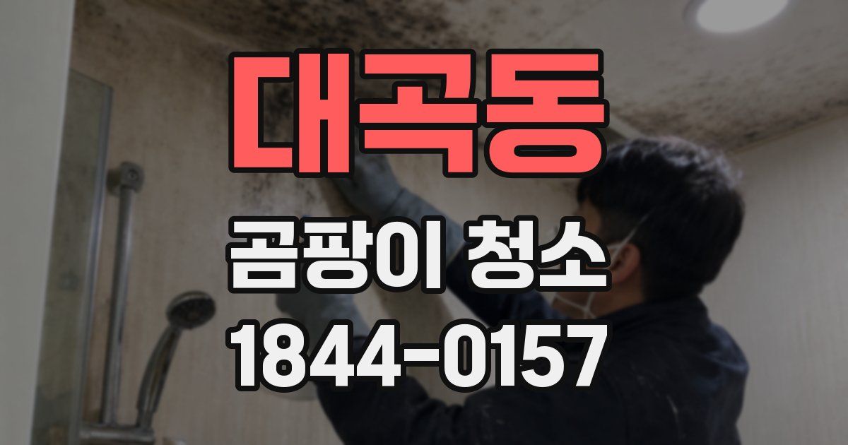 대곡동 곰팡이 청소