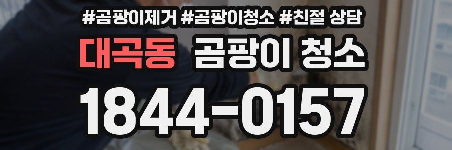 대곡동 곰팡이 청소
