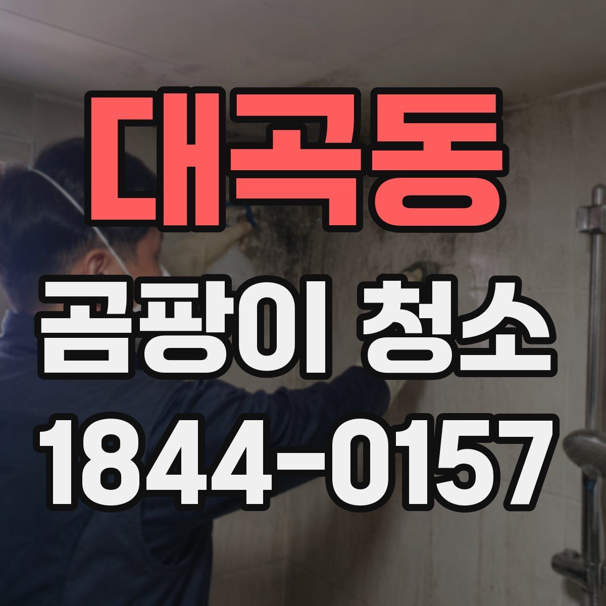 대곡동 곰팡이 청소