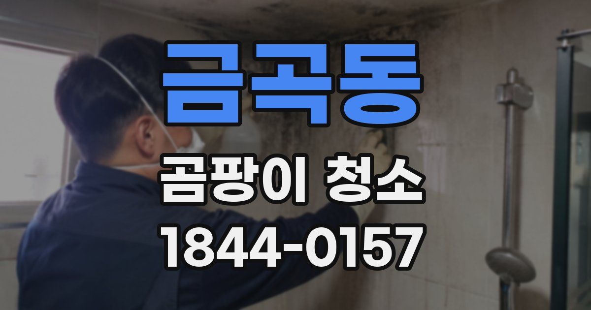금곡동 곰팡이 청소