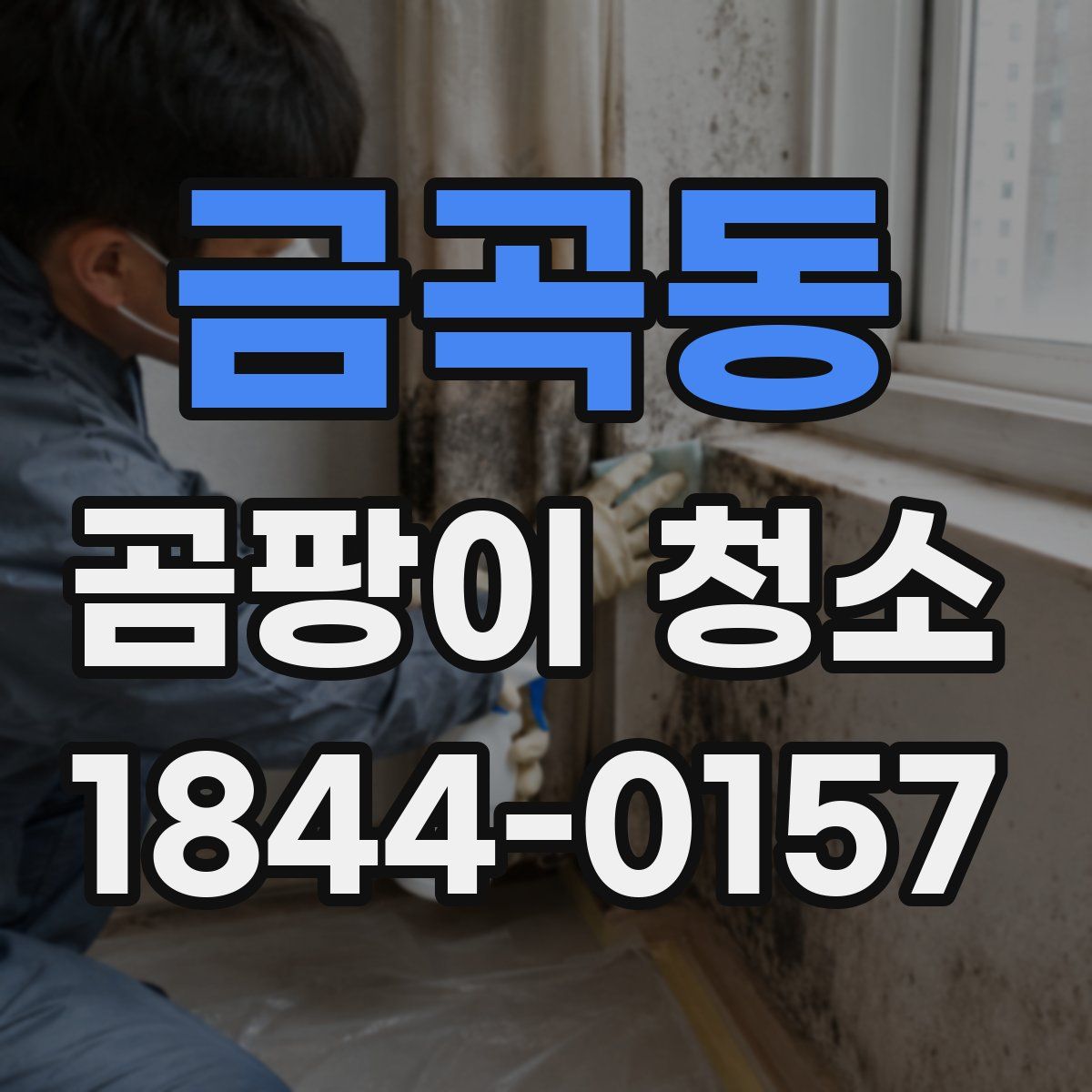 금곡동 곰팡이 청소