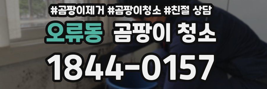 오류동 곰팡이 청소