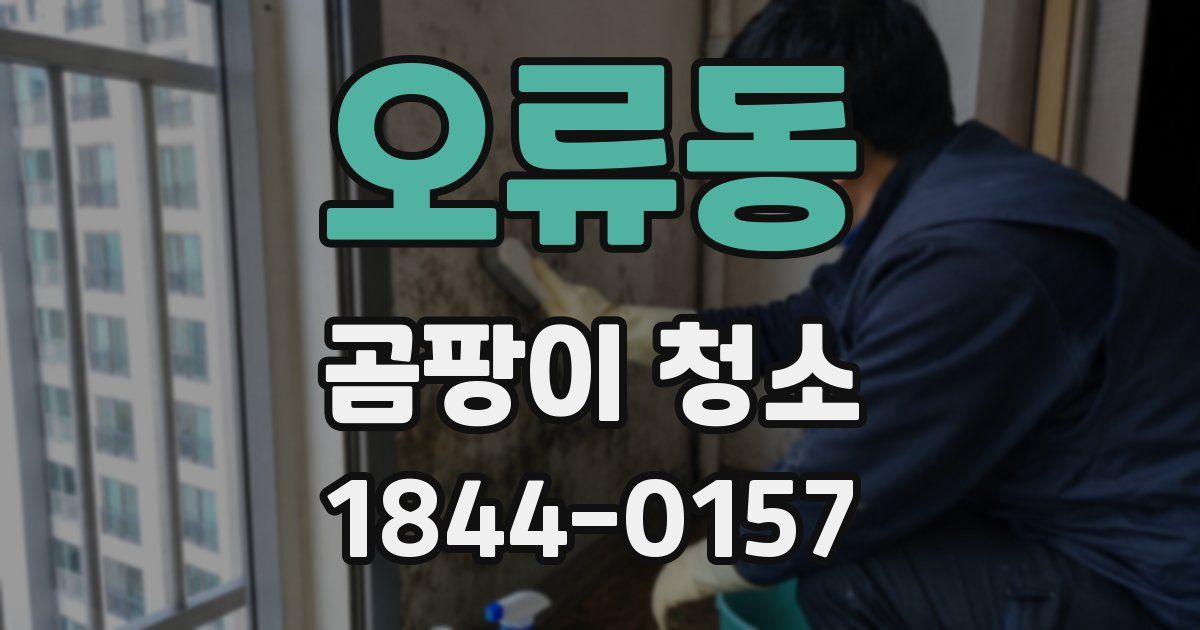 오류동 곰팡이 청소