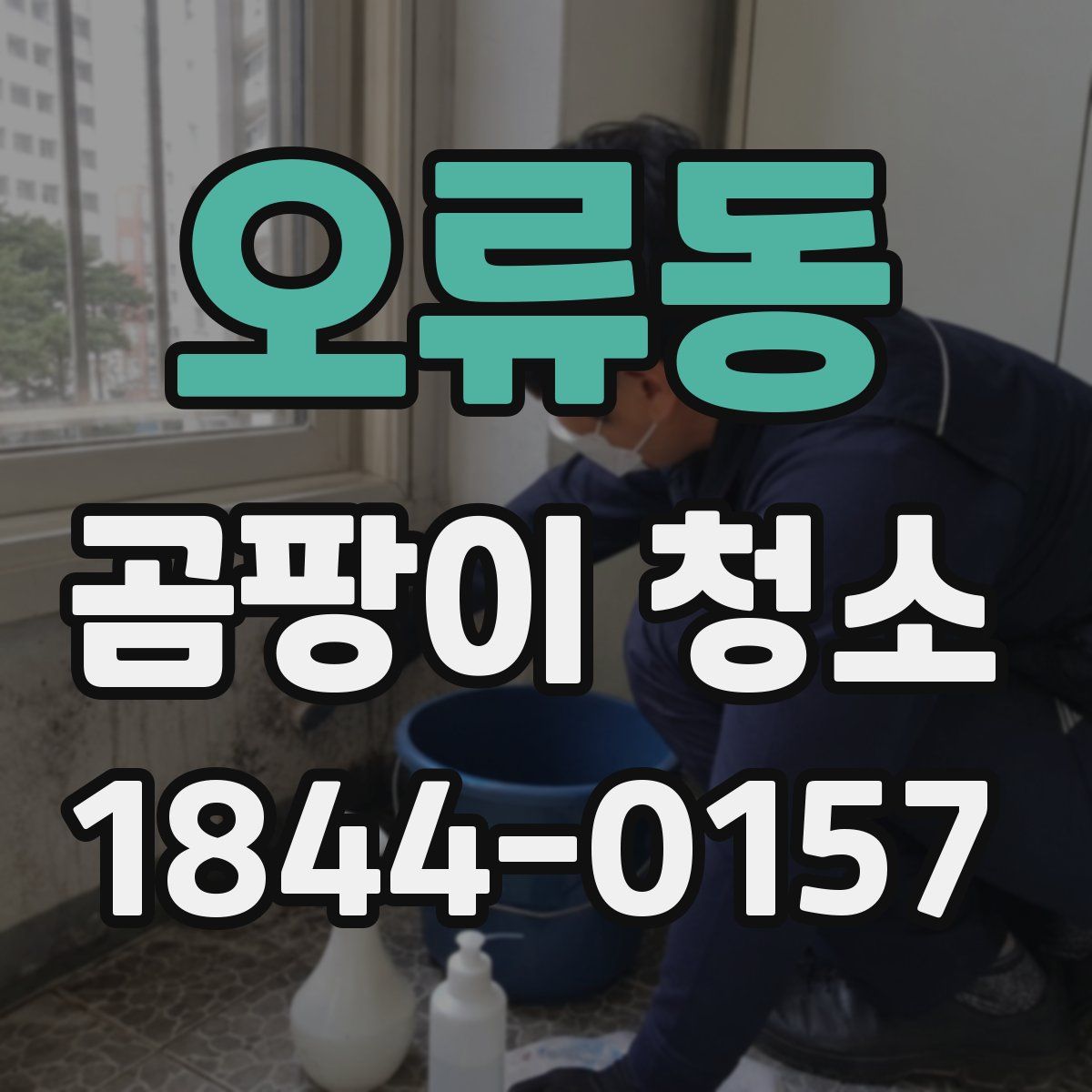 오류동 곰팡이 청소