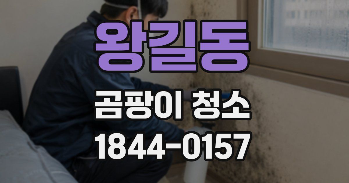 왕길동 곰팡이 청소