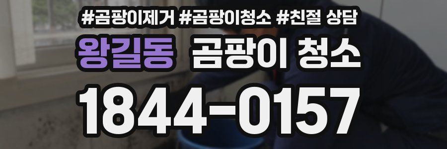 왕길동 곰팡이 청소