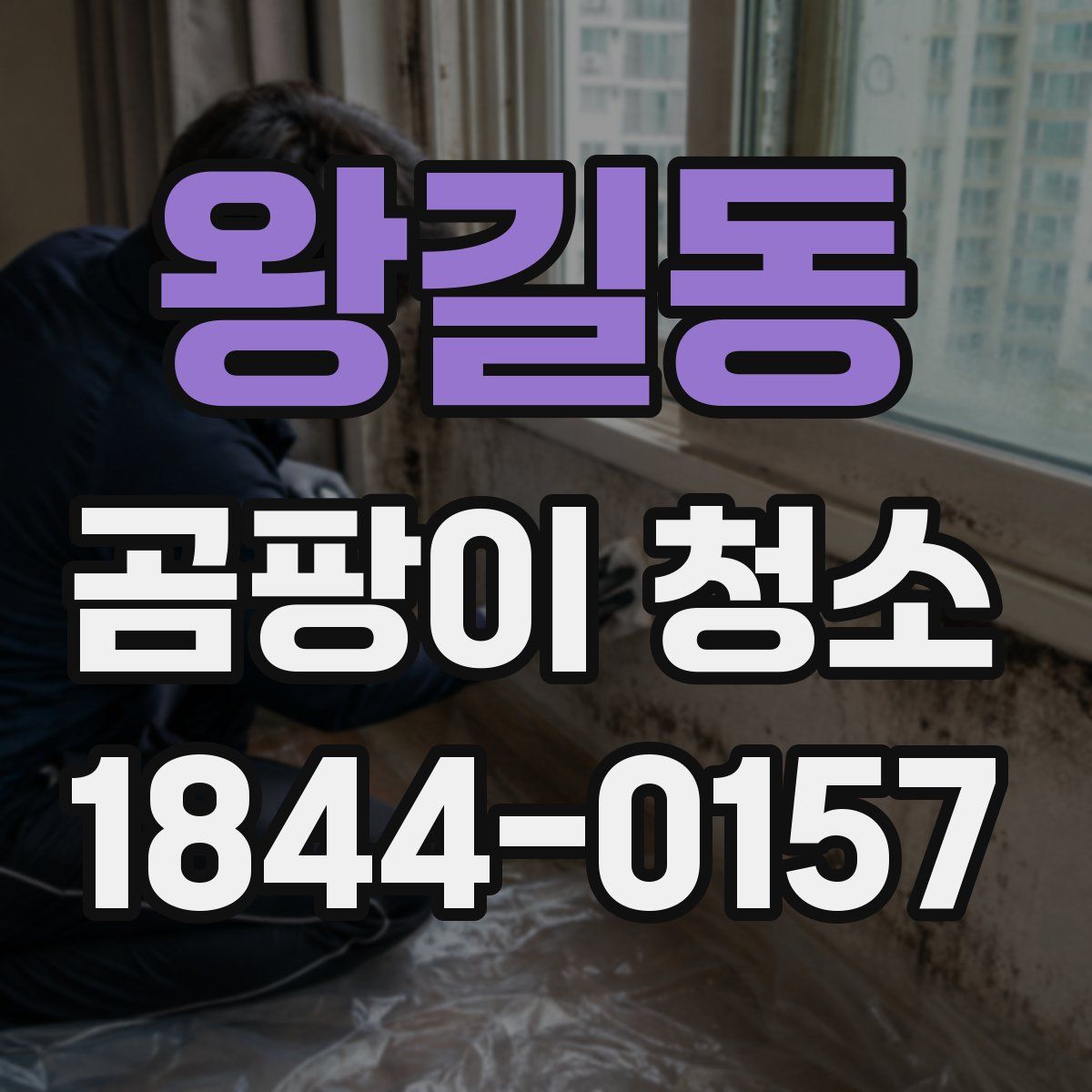 왕길동 곰팡이 청소