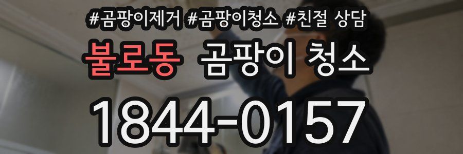 불로동 곰팡이 청소