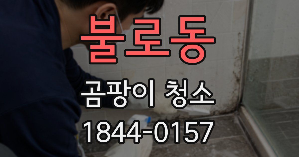 불로동 곰팡이 청소