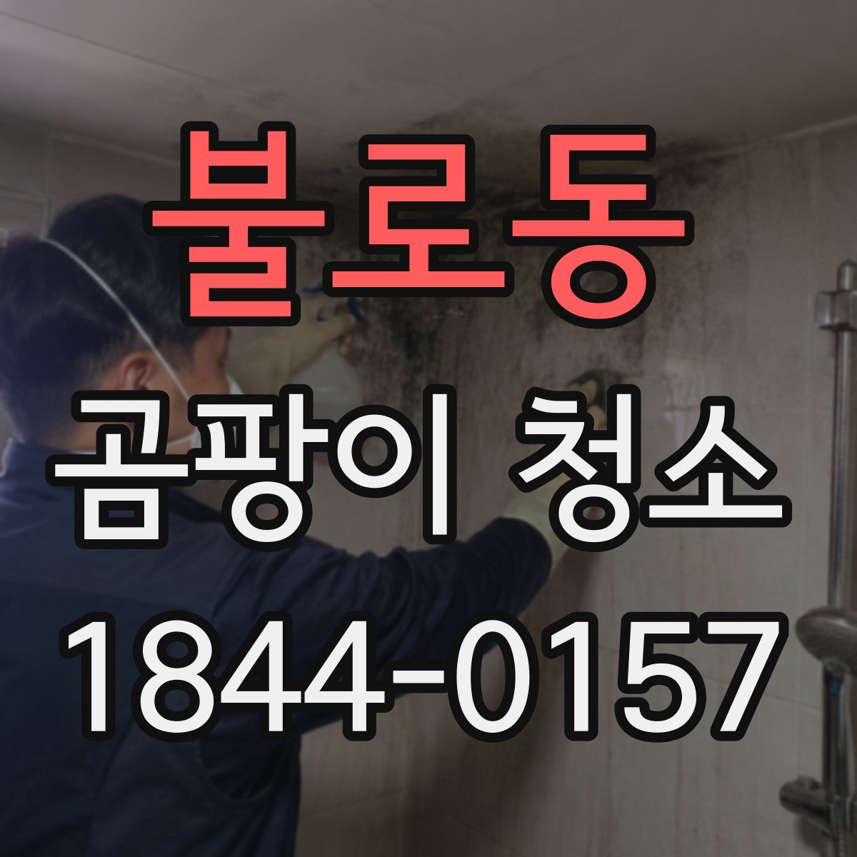 불로동 곰팡이 청소
