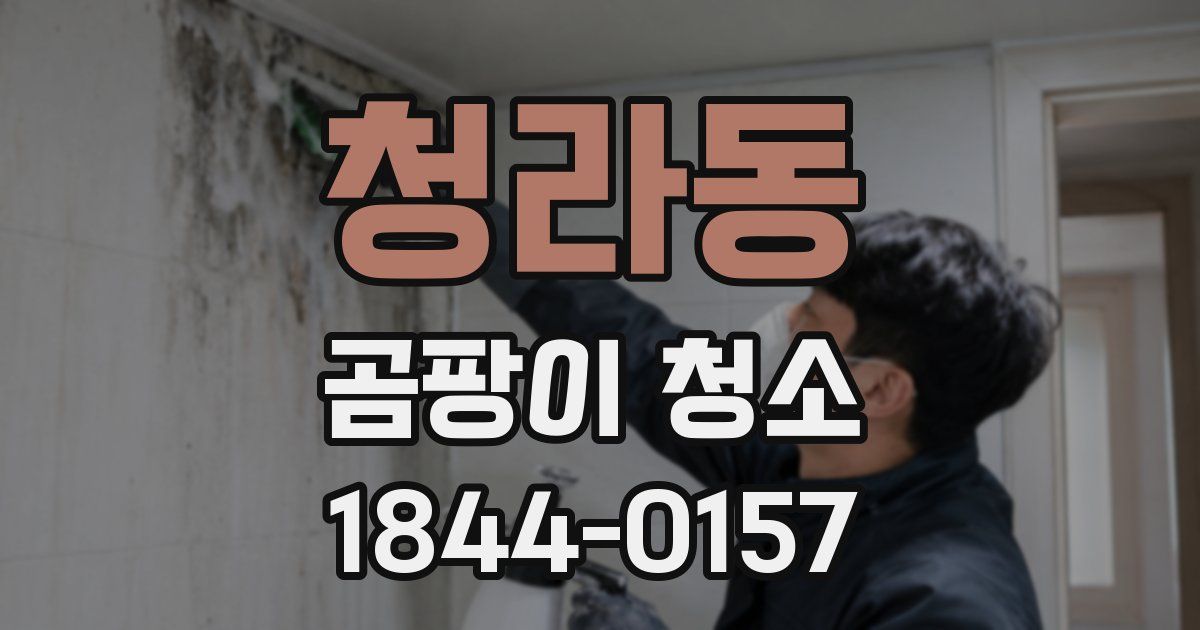 청라동 곰팡이 청소