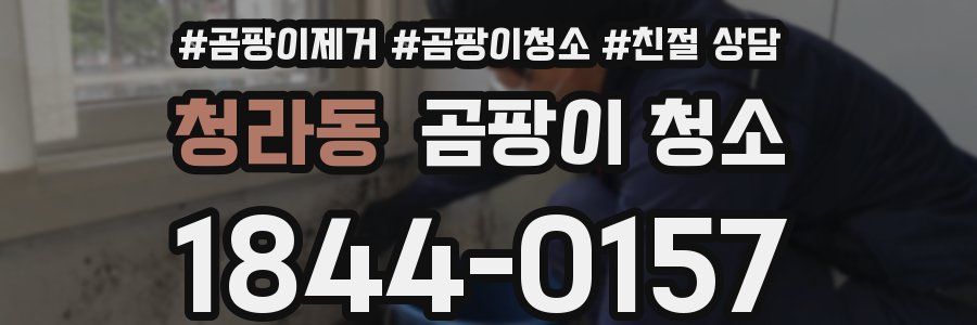 청라동 곰팡이 청소