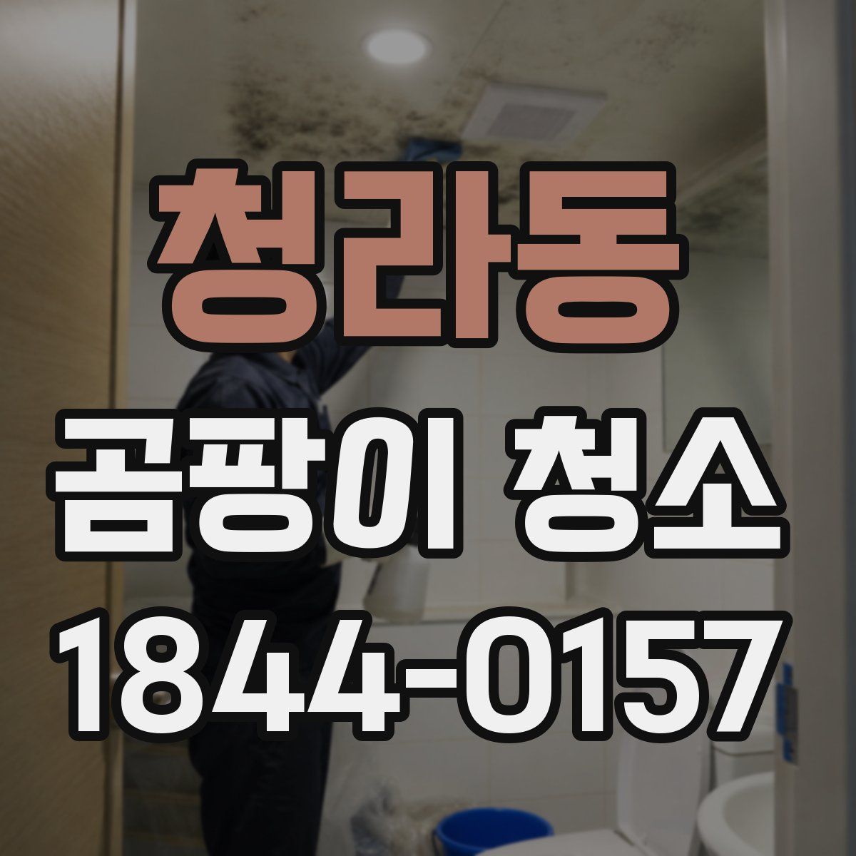 청라동 곰팡이 청소