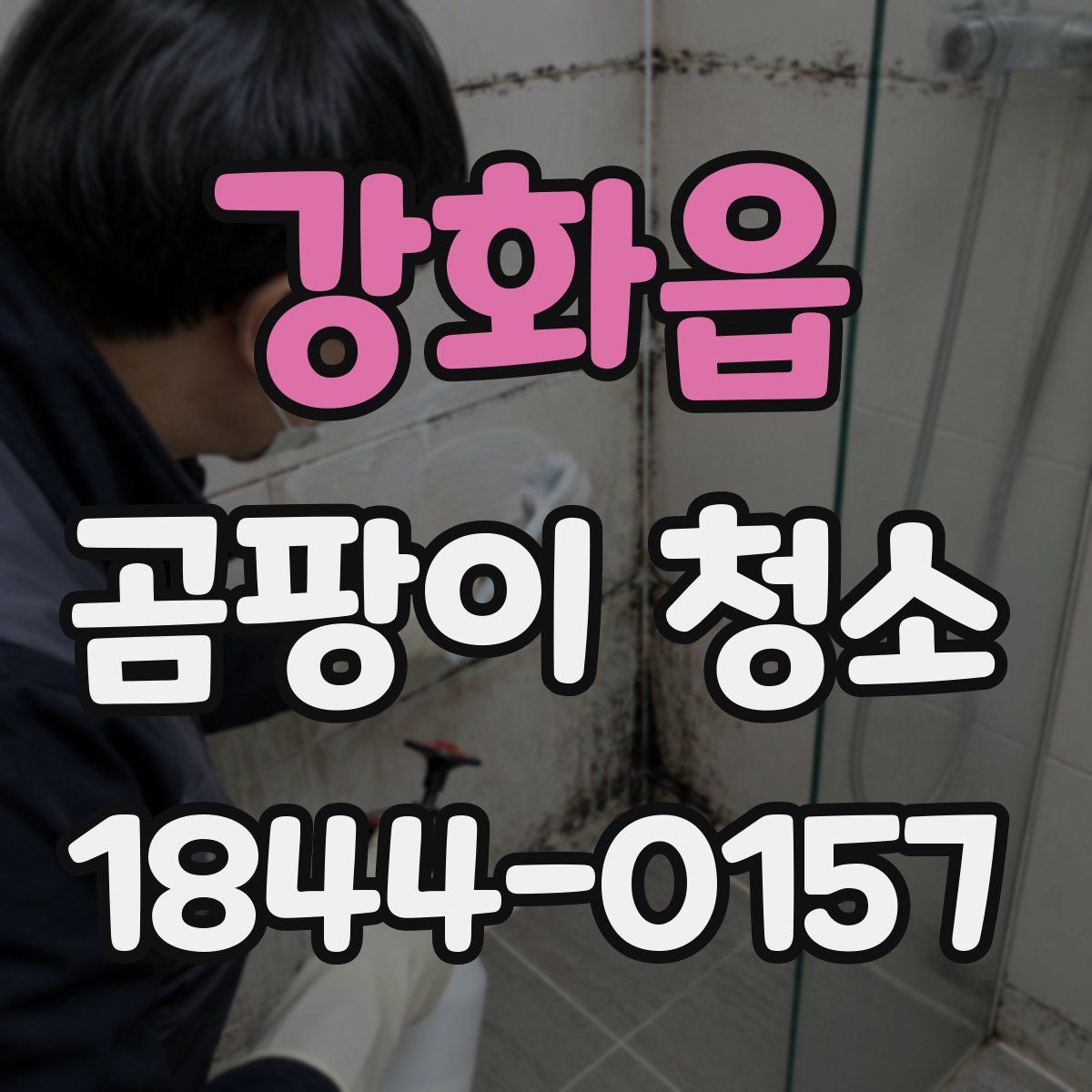 강화읍 곰팡이 청소