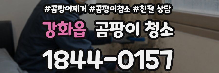 강화읍 곰팡이 청소