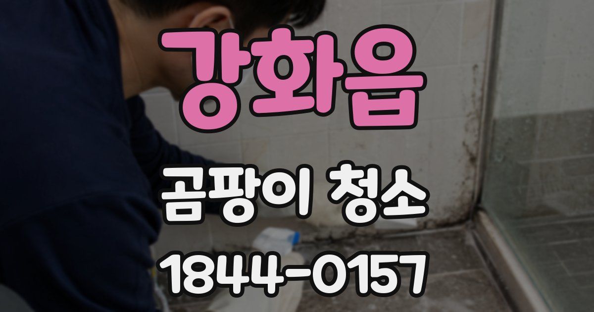 강화읍 곰팡이 청소