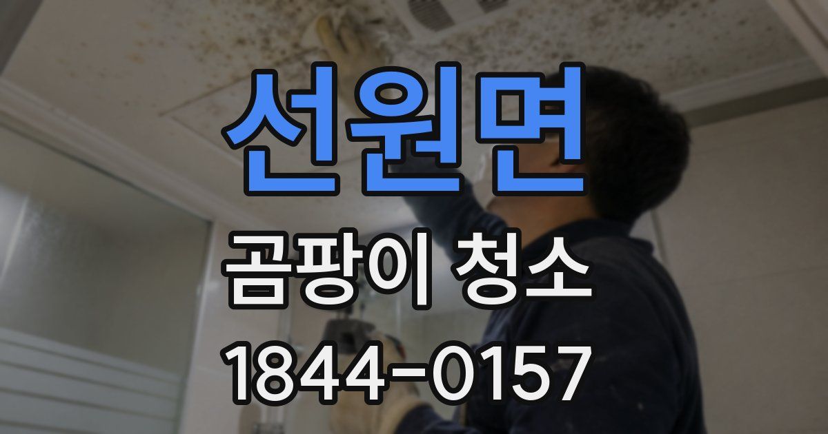선원면 곰팡이 청소
