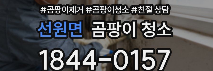 선원면 곰팡이 청소