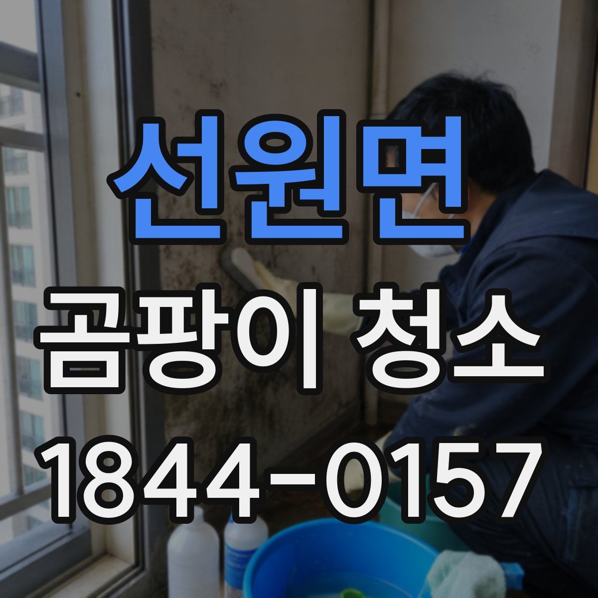 선원면 곰팡이 청소