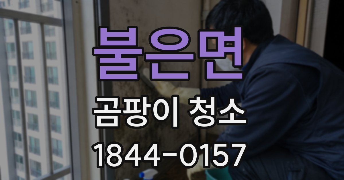불은면 곰팡이 청소