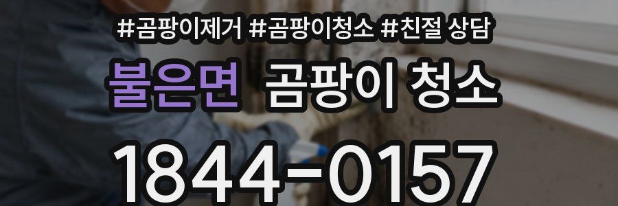 불은면 곰팡이 청소