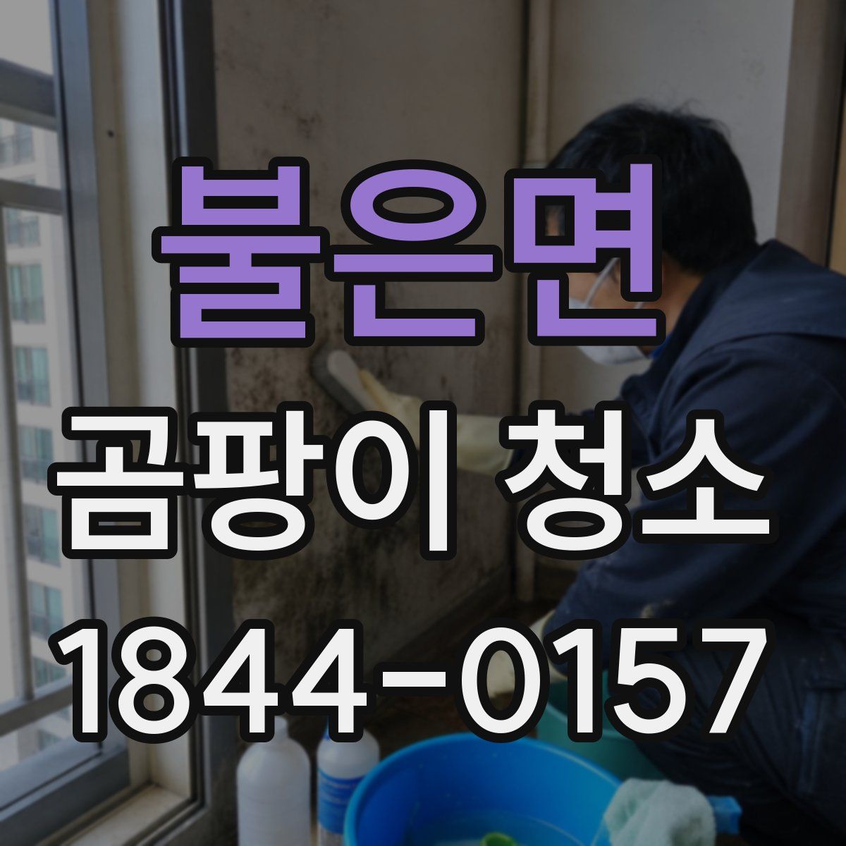 불은면 곰팡이 청소