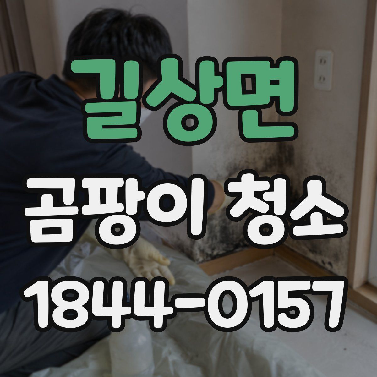 길상면 곰팡이 청소