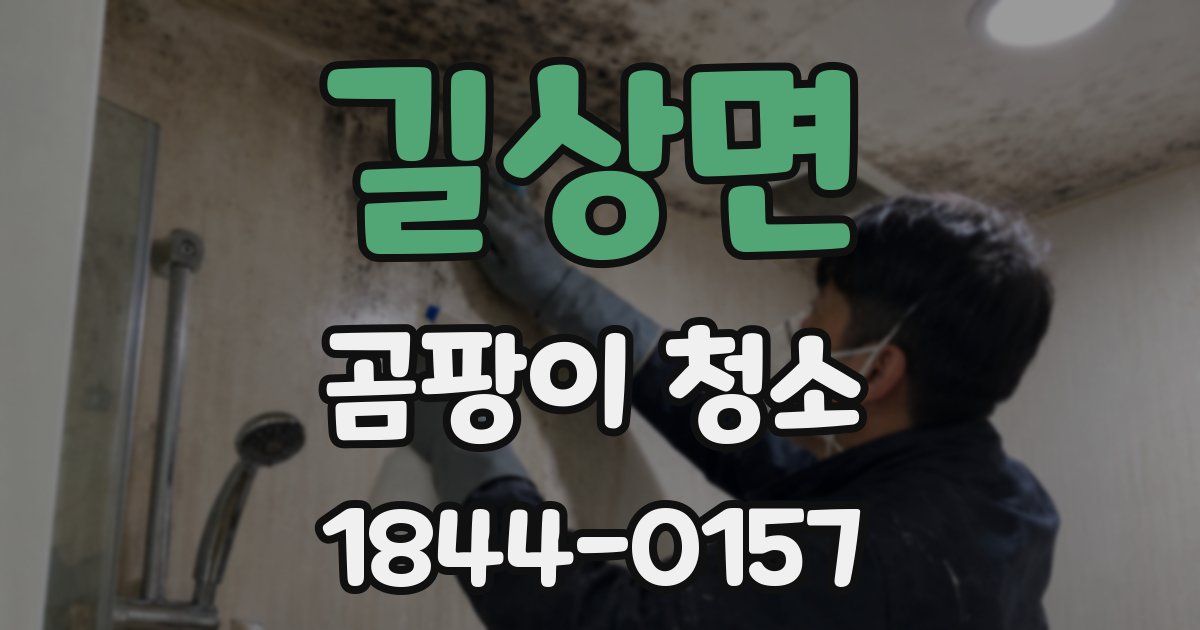 길상면 곰팡이 청소