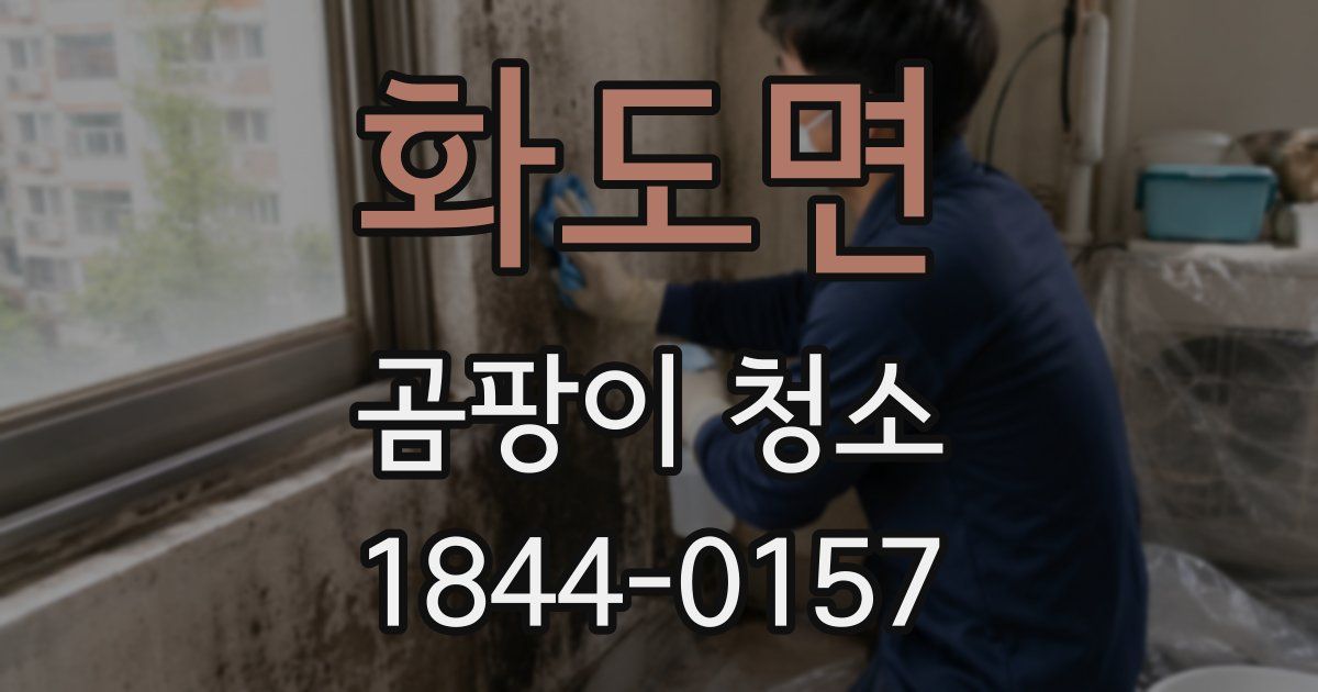 화도면 곰팡이 청소