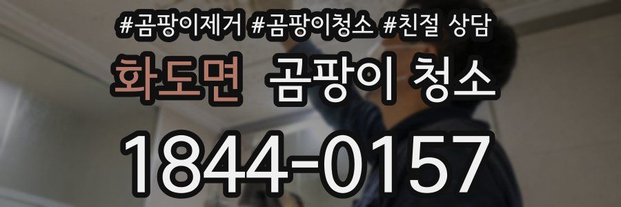 화도면 곰팡이 청소