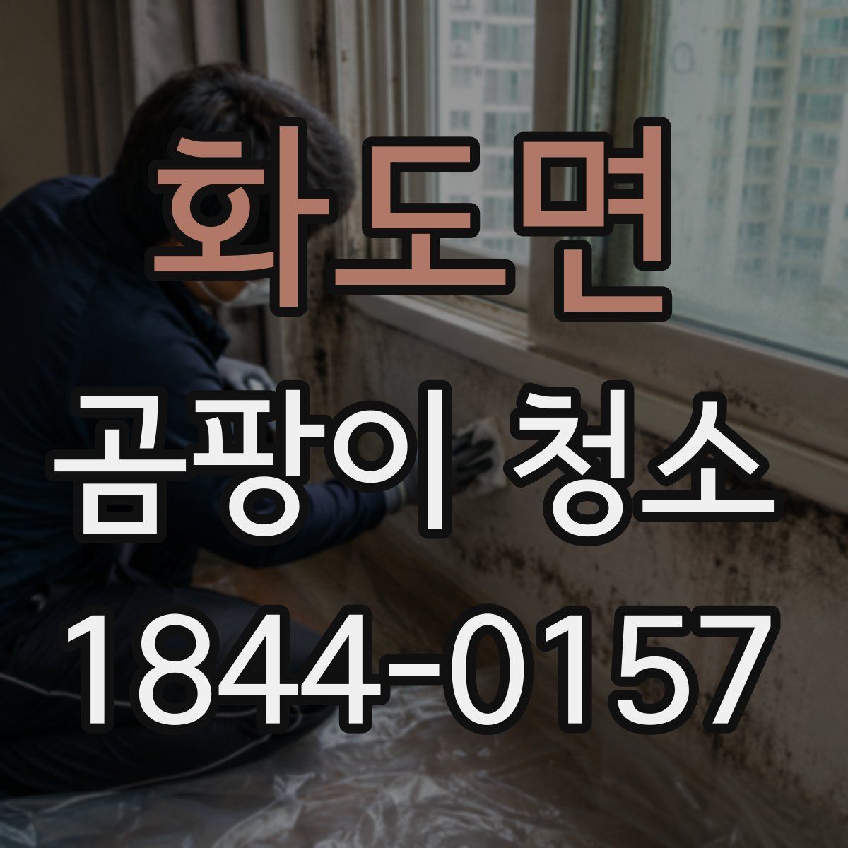 화도면 곰팡이 청소