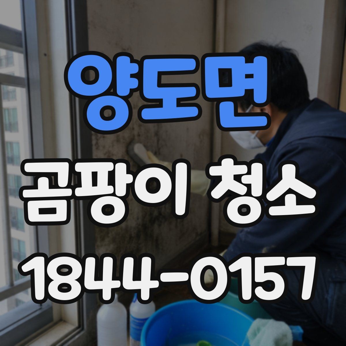 양도면 곰팡이 청소 전에 알아야 할 안전 수칙