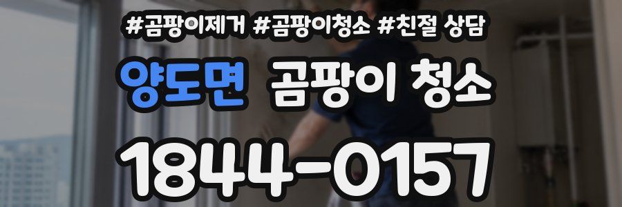 양도면 곰팡이 청소