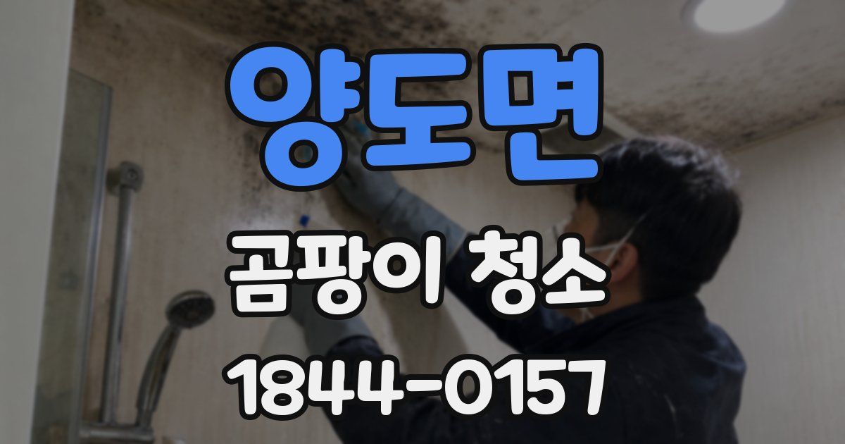 양도면 곰팡이 청소
