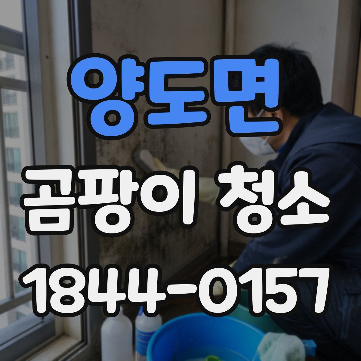 양도면 곰팡이 청소