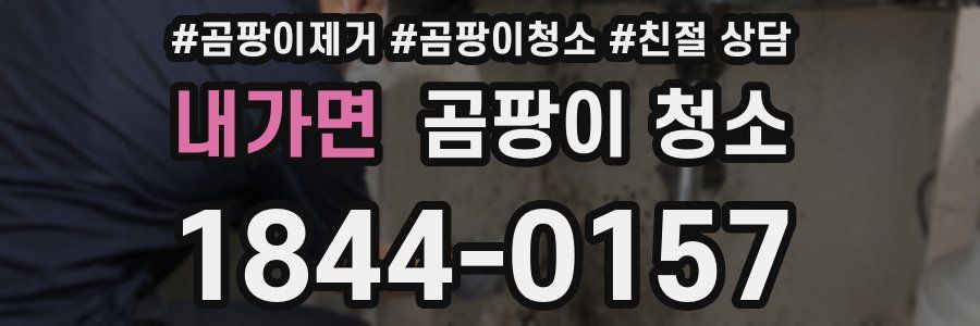내가면 곰팡이 청소