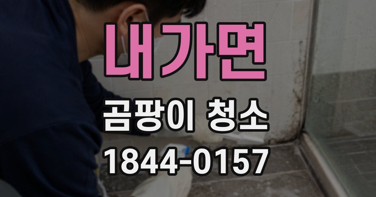 내가면 곰팡이 청소