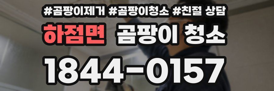 하점면 곰팡이 청소