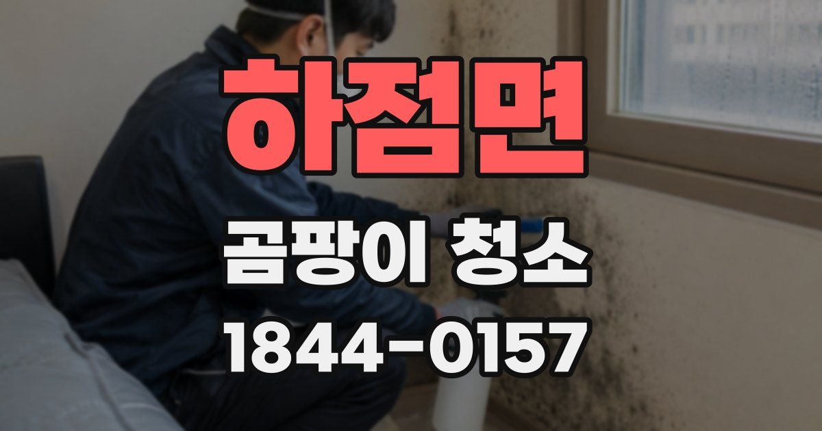 하점면 곰팡이 청소